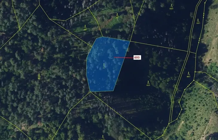 Dražba lesa, Žďárec, 2813 m2