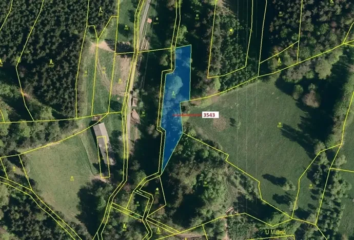 Dražba lesa, Zděchov, 1866 m2