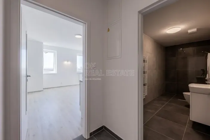 Pronájem bytu 2+kk, Plzeň, Františka Kováříka, 45 m2