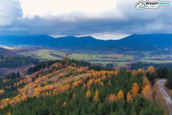 Prodej rodinného domu, Zubří, Bořkova, 230 m2