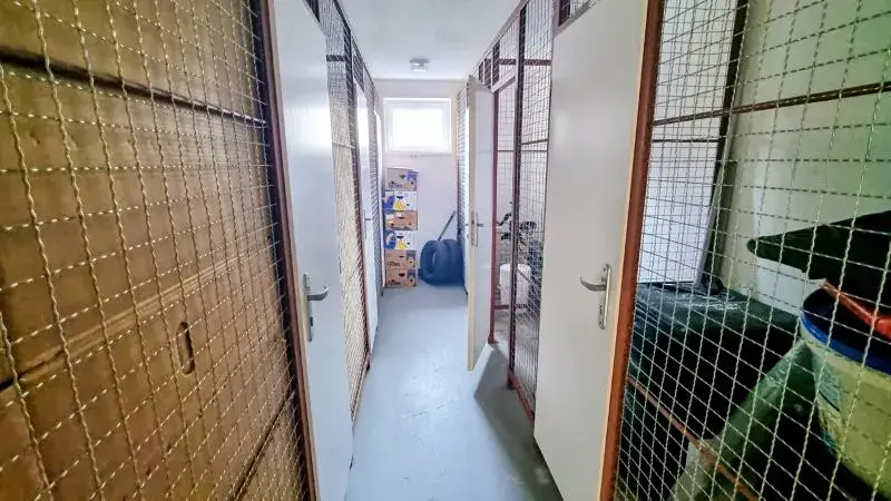 Prodej bytu 3+kk, Jihlava, 67 m2