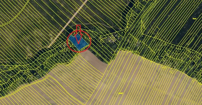 Prodej lesa, Mistřice, 1951 m2