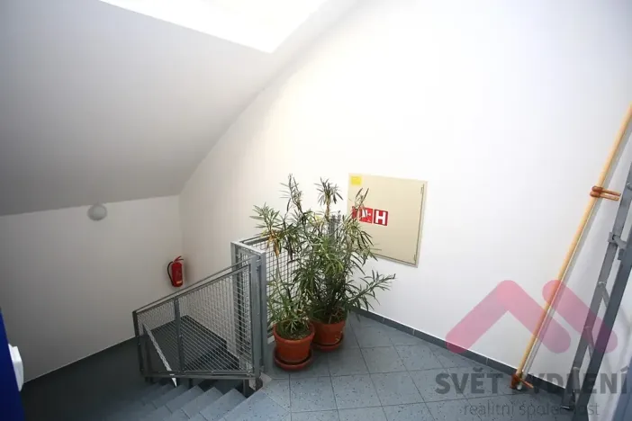 Pronájem bytu 2+kk, Praha - Žižkov, Jeseniova, 52 m2