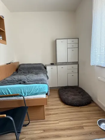 Prodej bytu 3+kk, Brno, Hvozdecká, 60 m2