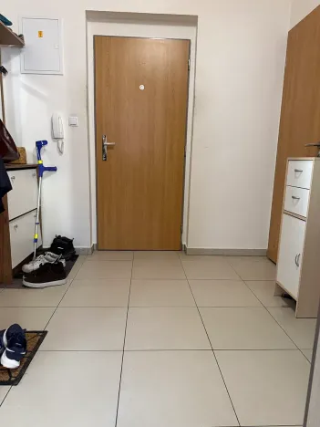 Prodej bytu 3+kk, Brno, Hvozdecká, 60 m2