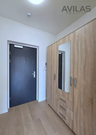 Pronájem bytu 1+kk, Benešov, 102. pluku, 38 m2