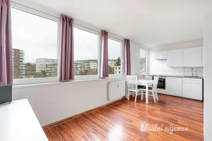 Pronájem bytu 1+kk, Praha - Karlín, Molákova, 28 m2