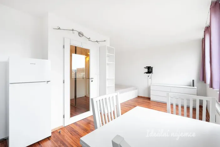 Pronájem bytu 1+kk, Praha - Karlín, Molákova, 28 m2