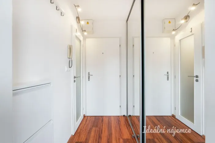 Pronájem bytu 1+kk, Praha - Karlín, Molákova, 28 m2