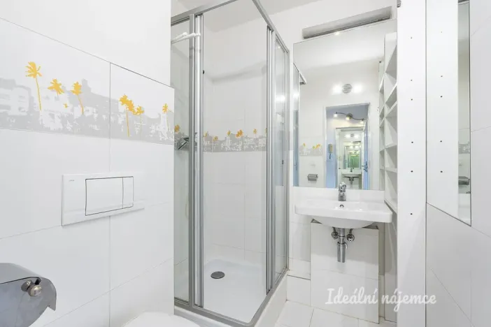 Pronájem bytu 1+kk, Praha - Karlín, Molákova, 28 m2