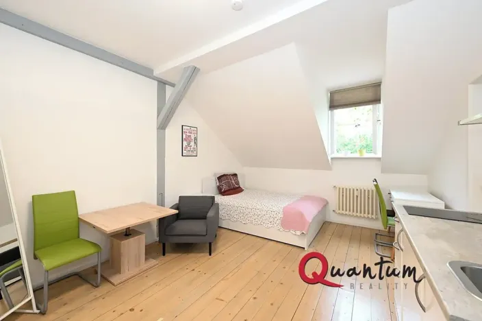 Pronájem bytu 1+kk, Praha - Smíchov, U Pernikářky, 23 m2