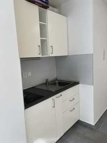 Pronájem bytu 1+kk, Brno, Křenová, 25 m2