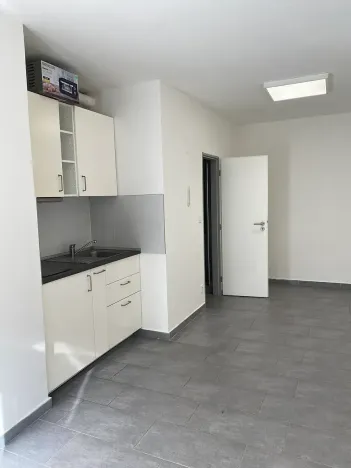Pronájem bytu 1+kk, Brno, Křenová, 25 m2
