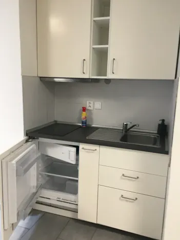 Pronájem bytu 1+kk, Brno, Křenová, 25 m2