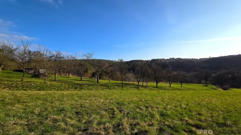 Prodej zahrady, Vyškov, 330 m2