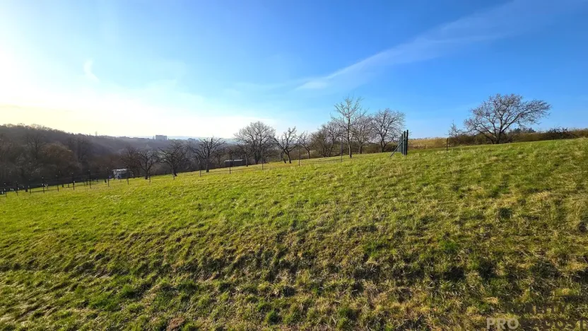 Prodej zahrady, Vyškov, 330 m2