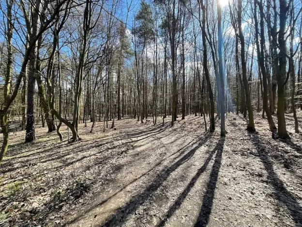 Prodej pozemku pro bydlení, Morašice, 870 m2