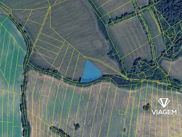 Prodej pole, Nekvasovy, 3575 m2