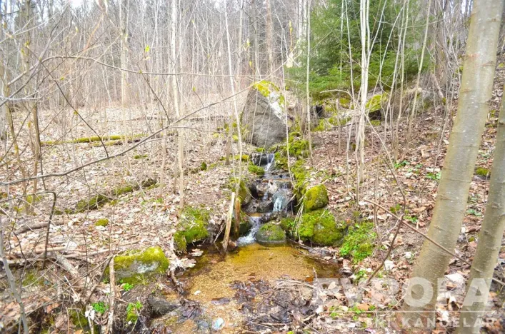 Prodej chalupy, Desná - Desná I, Výletní, 110 m2