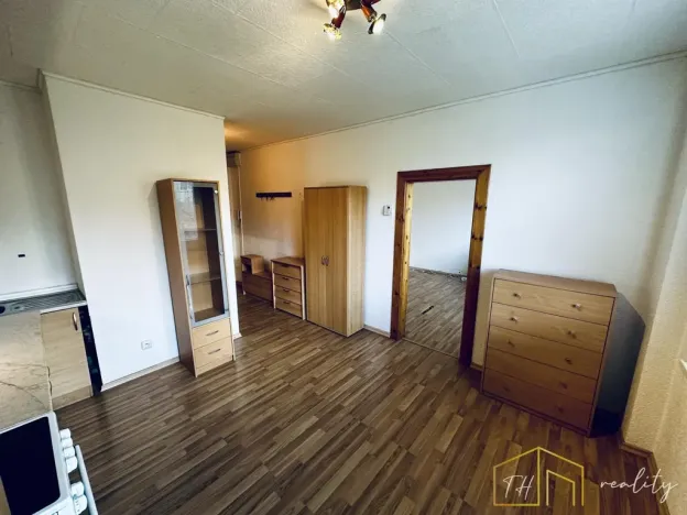 Prodej bytu 1+1, Krupka - Bohosudov, Havlíčkova, 36 m2