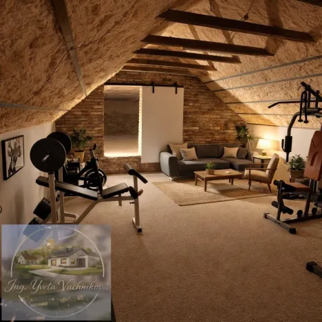 Prodej vícegeneračního domu, Lužec nad Cidlinou, 390 m2