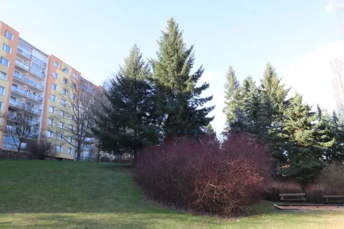 Prodej bytu 1+kk, Plzeň - Bolevec, Nýřanská, 27 m2