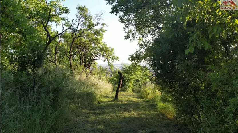 Prodej zahrady, Brno - Židenice, 1227 m2