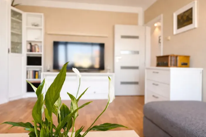 Prodej bytu 3+1, Chomutov, Kostnická, 64 m2