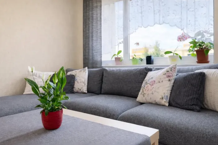 Prodej bytu 3+1, Chomutov, Kostnická, 64 m2