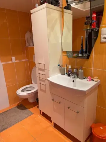 Pronájem bytu 3+1, Liberec, Olbrachtova, 84 m2