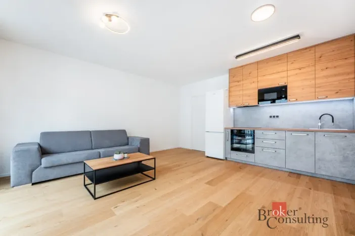 Pronájem bytu 1+kk, Brno - Zábrdovice, Bratislavská, 36 m2