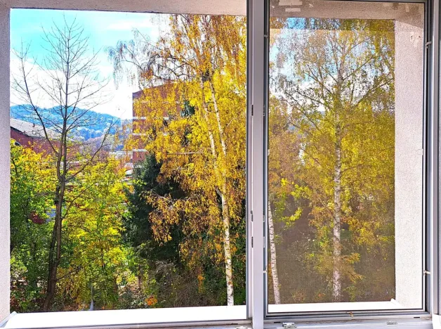 Pronájem bytu 1+1, Zlín, Zborovská, 38 m2