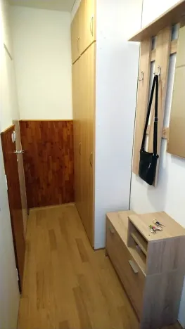 Pronájem bytu 1+1, Zlín, Zborovská, 38 m2