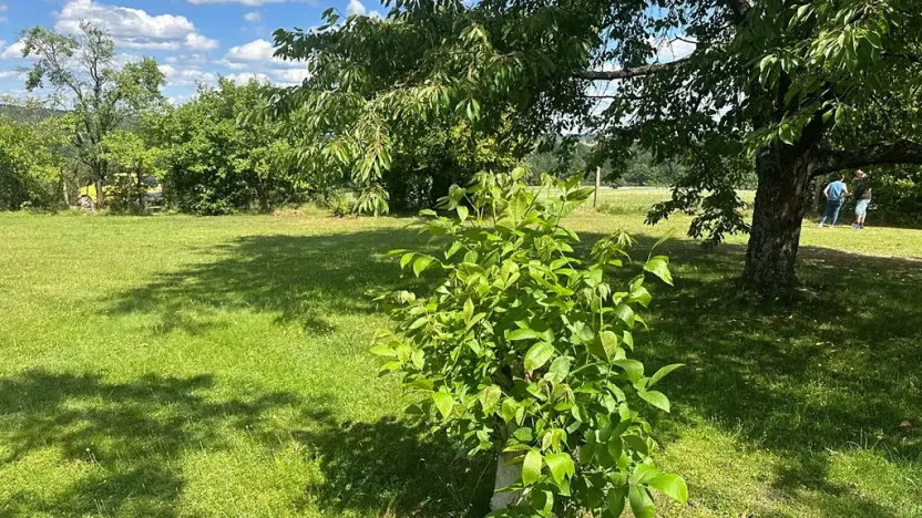 Prodej pozemku pro bydlení, Albrechtice nad Vltavou, 800 m2