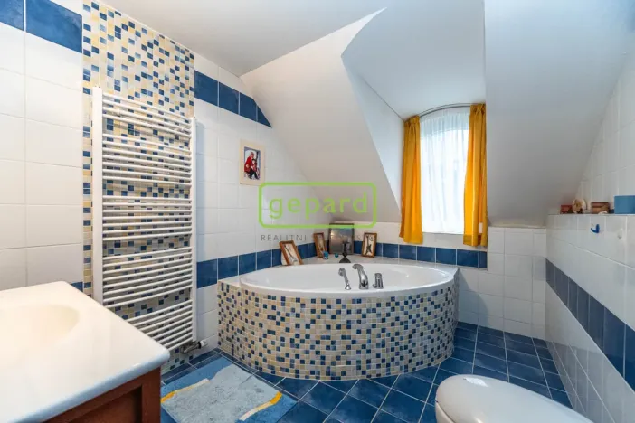 Prodej rodinného domu, Braškov, Akátová, 446 m2