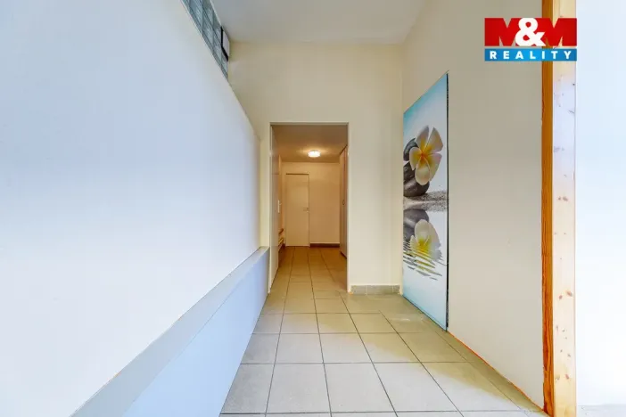 Pronájem obchodního prostoru, Písek, Čechova, 53 m2
