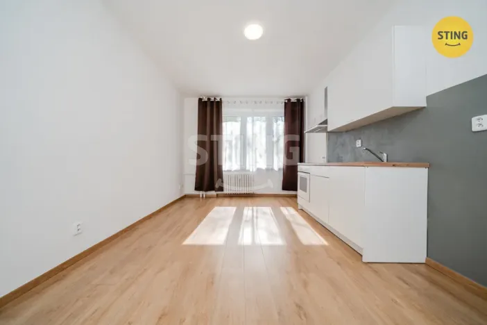 Pronájem bytu 1+kk, Ostrava, Francouzská, 21 m2