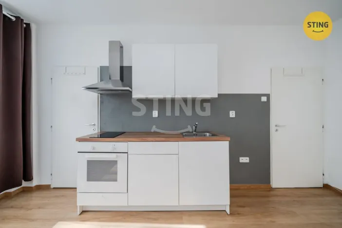 Pronájem bytu 1+kk, Ostrava, Francouzská, 21 m2