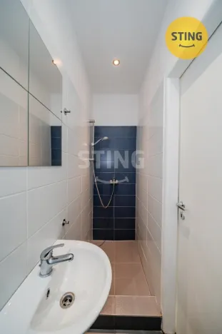 Pronájem bytu 1+kk, Ostrava, Francouzská, 21 m2