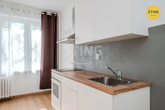 Pronájem bytu 1+kk, Ostrava, Francouzská, 21 m2