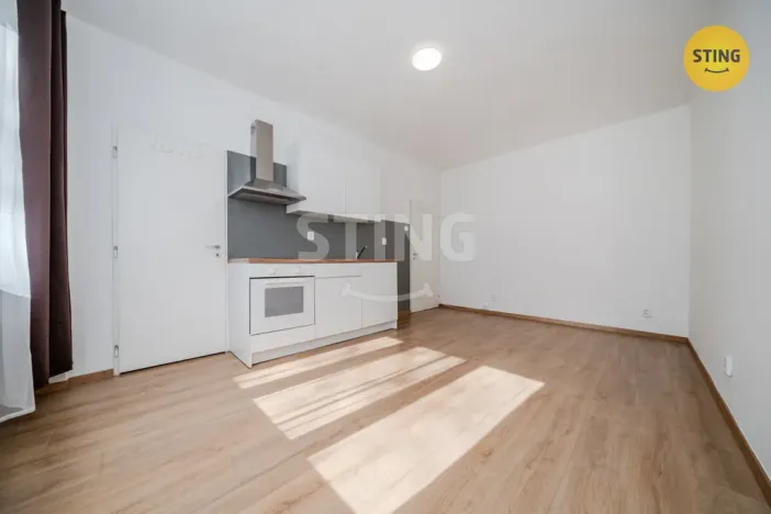 Pronájem bytu 1+kk, Ostrava, Francouzská, 21 m2