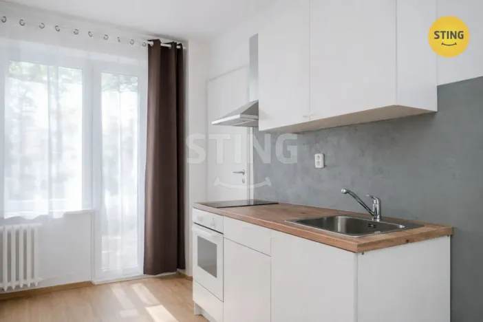 Pronájem bytu 1+kk, Ostrava, Francouzská, 21 m2