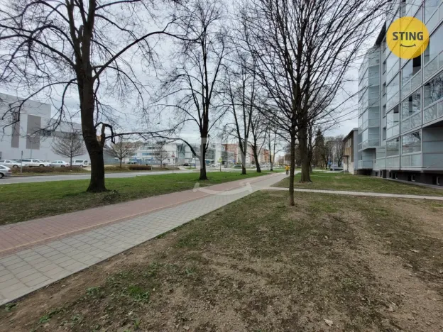 Pronájem bytu 1+kk, Ostrava, Francouzská, 21 m2