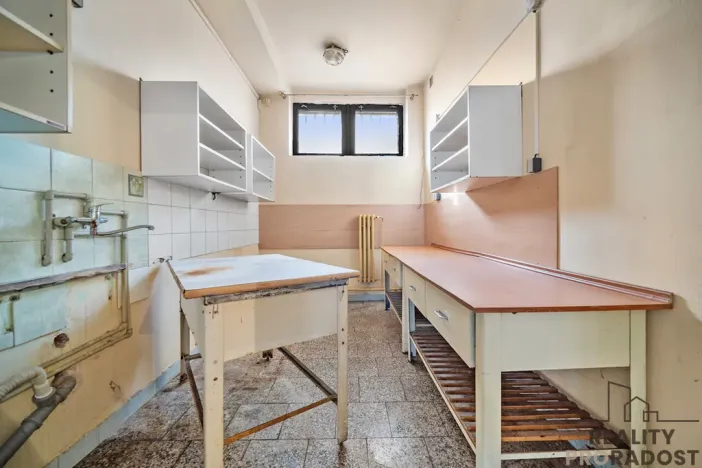 Prodej restaurace, Řečany nad Labem, 1. máje, 320 m2