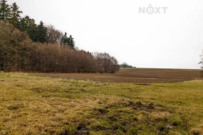 Prodej louky, Niva, 7301 m2