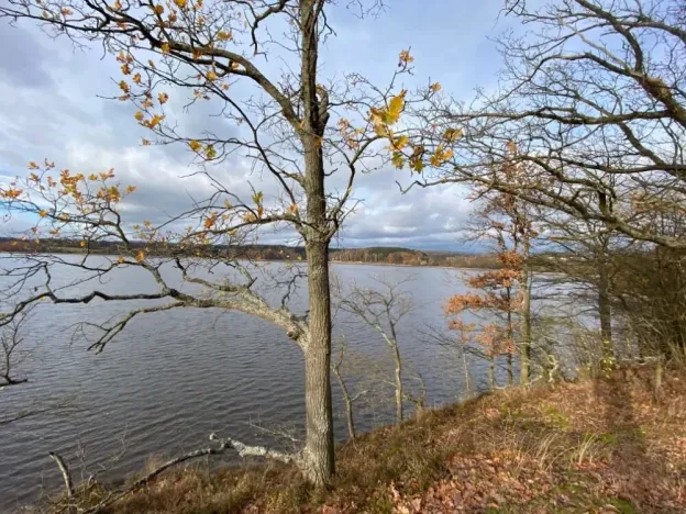 Prodej pozemku pro bydlení, Cheb - Skalka, 878 m2