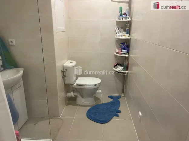 Prodej bytu 2+1, Cheb, Mírová, 54 m2