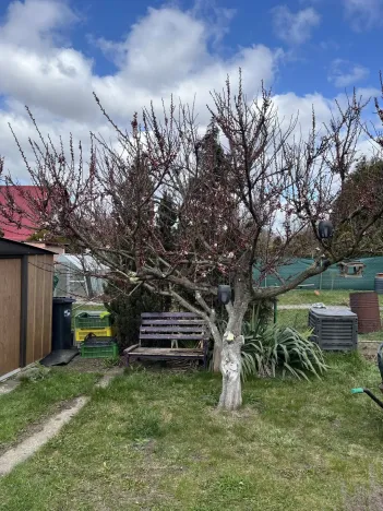 Prodej zahrady, Bílina - Pražské Předměstí, Mládežnická, 30 m2