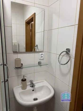 Pronájem bytu 1+1, Plzeň - Východní Předměstí, Kyjevská, 30 m2