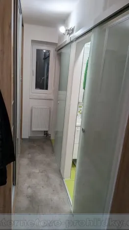 Pronájem pokoje, Mladá Boleslav, Palackého, 15 m2